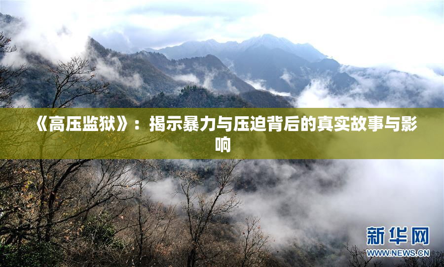 《高压监狱》：揭示暴力与压迫背后的真实故事与影响