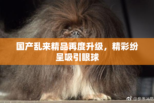 国产乱来精品再度升级，精彩纷呈吸引眼球