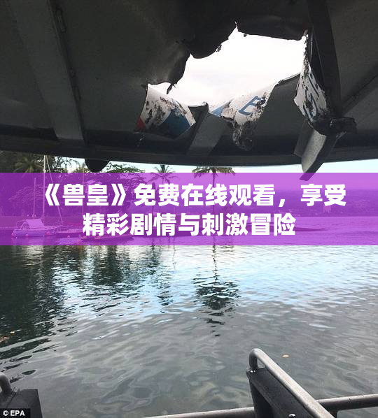 《兽皇》免费在线观看，享受精彩剧情与刺激冒险