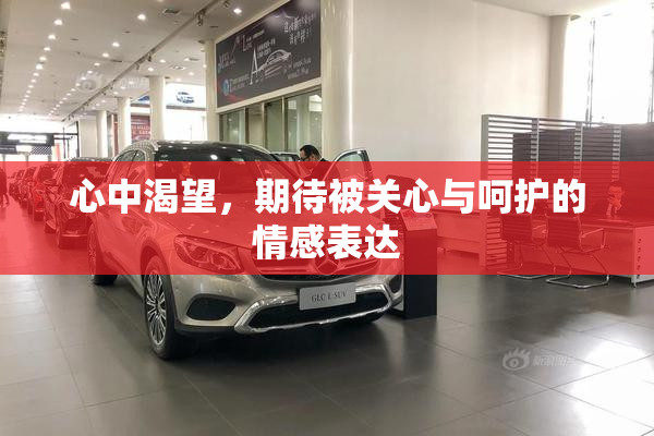 心中渴望，期待被关心与呵护的情感表达
