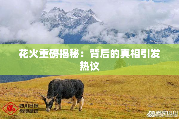 花火重磅揭秘：背后的真相引发热议
