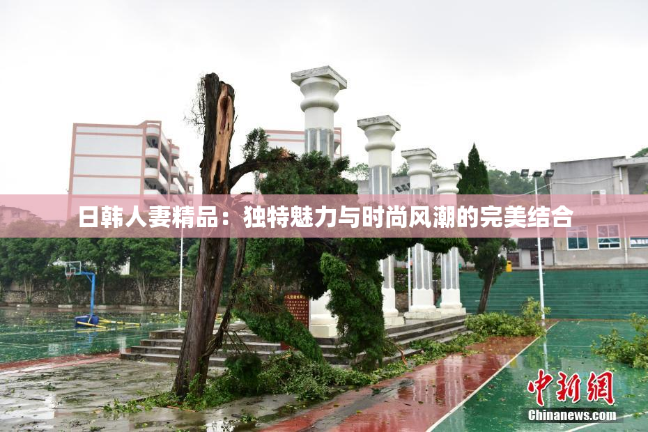 日韩人妻精品：独特魅力与时尚风潮的完美结合