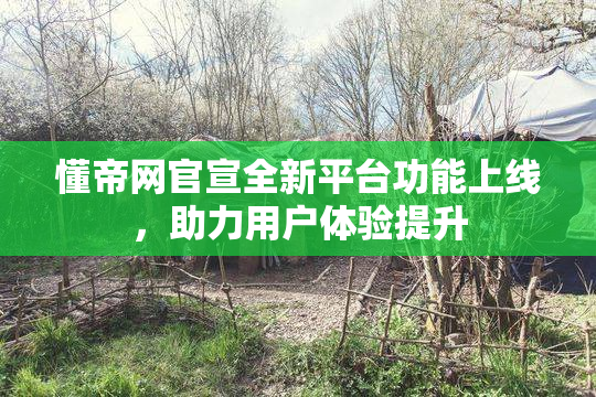 懂帝网官宣全新平台功能上线，助力用户体验提升