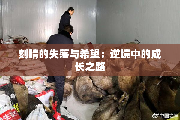刻晴的失落与希望：逆境中的成长之路