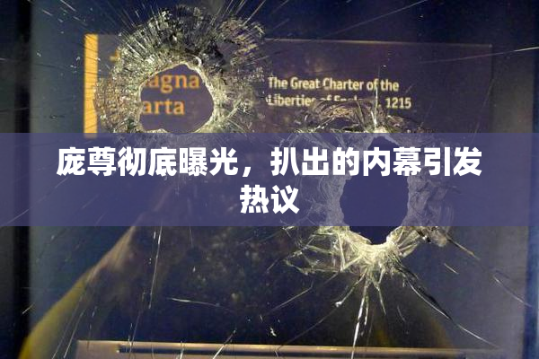 庞尊彻底曝光，扒出的内幕引发热议