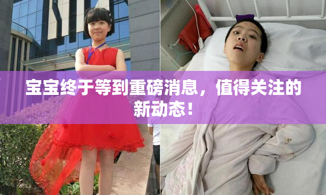 宝宝终于等到重磅消息，值得关注的新动态！