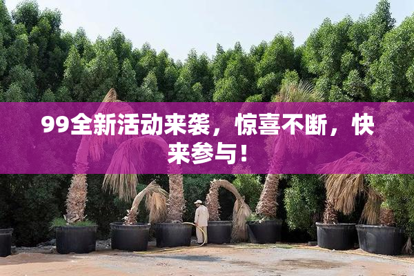 99全新活动来袭，惊喜不断，快来参与！