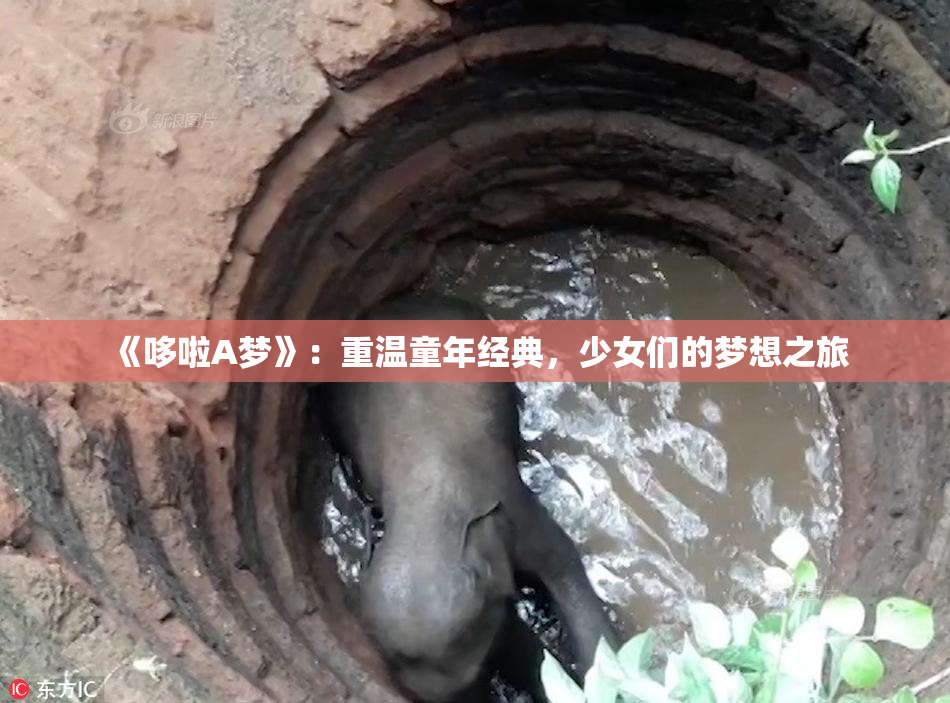 《哆啦A梦》：重温童年经典，少女们的梦想之旅