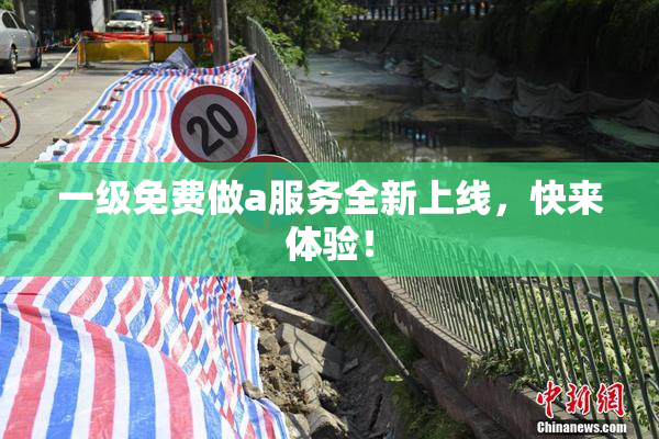 一级免费做a服务全新上线，快来体验！