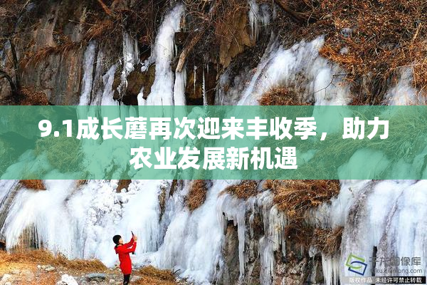 9.1成长蘑再次迎来丰收季，助力农业发展新机遇