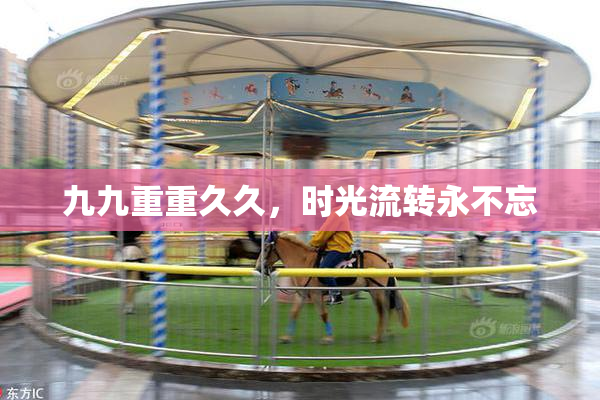 九九重重久久，时光流转永不忘