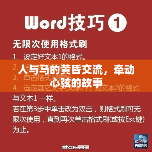 人与马的黄昏交流，牵动心弦的故事