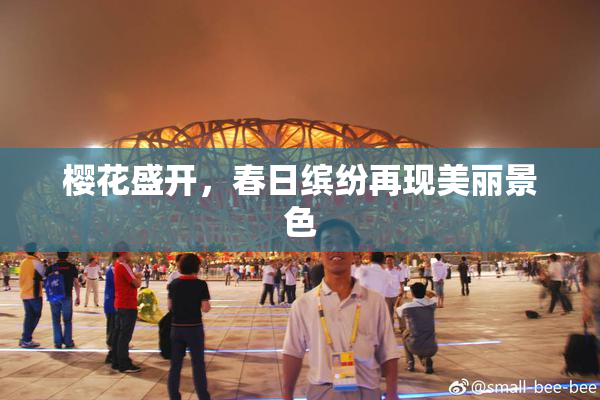樱花盛开，春日缤纷再现美丽景色