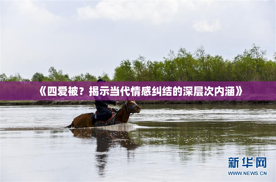 《四爱被？揭示当代情感纠结的深层次内涵》