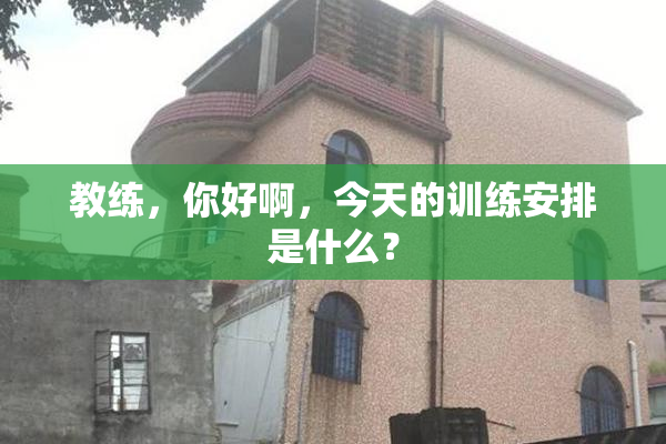 教练，你好啊，今天的训练安排是什么？