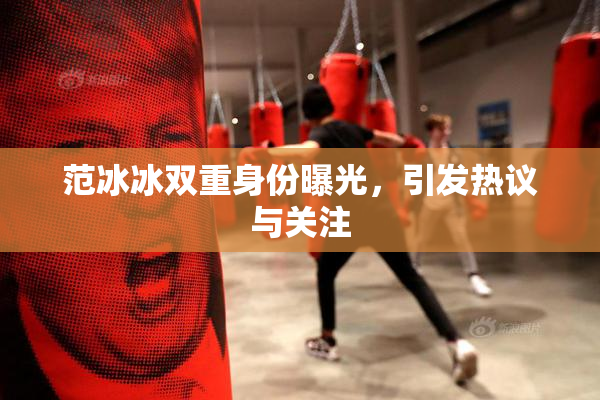 范冰冰双重身份曝光，引发热议与关注