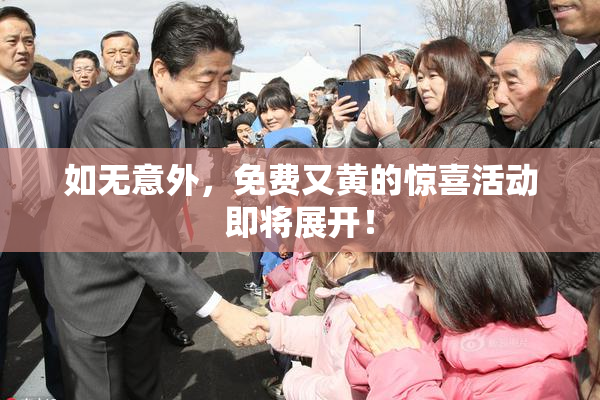 如无意外，免费又黄的惊喜活动即将展开！