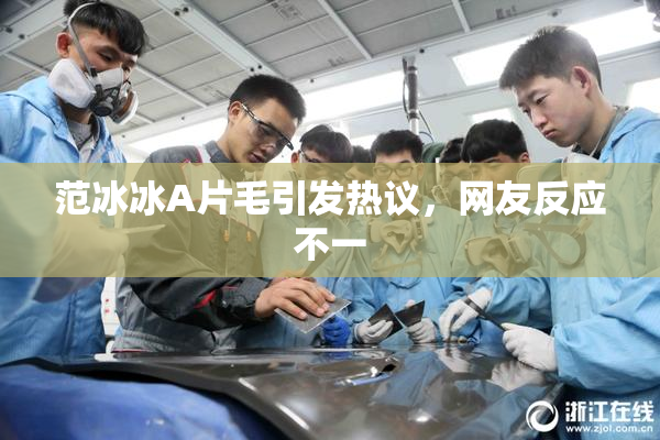 范冰冰A片毛引发热议，网友反应不一
