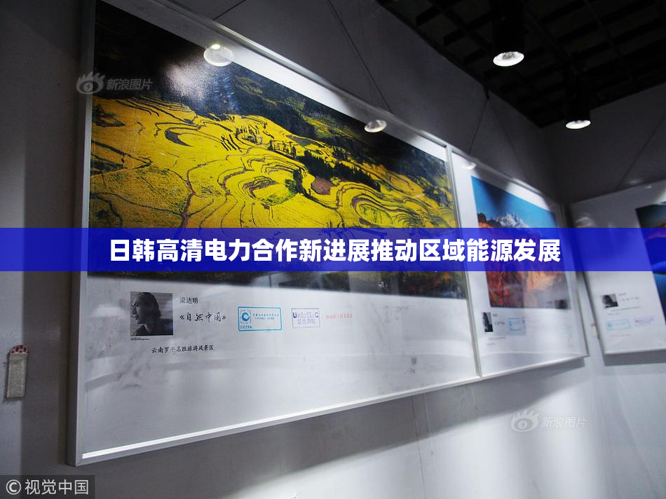 日韩高清电力合作新进展推动区域能源发展
