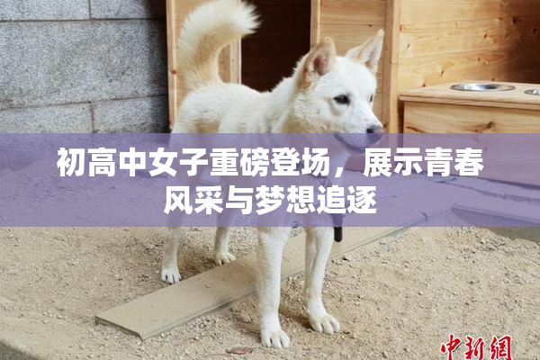 初高中女子重磅登场，展示青春风采与梦想追逐
