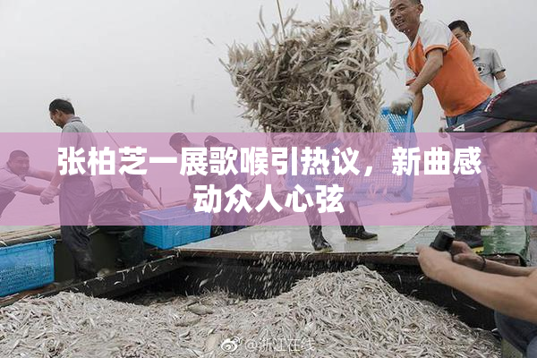 张柏芝一展歌喉引热议，新曲感动众人心弦