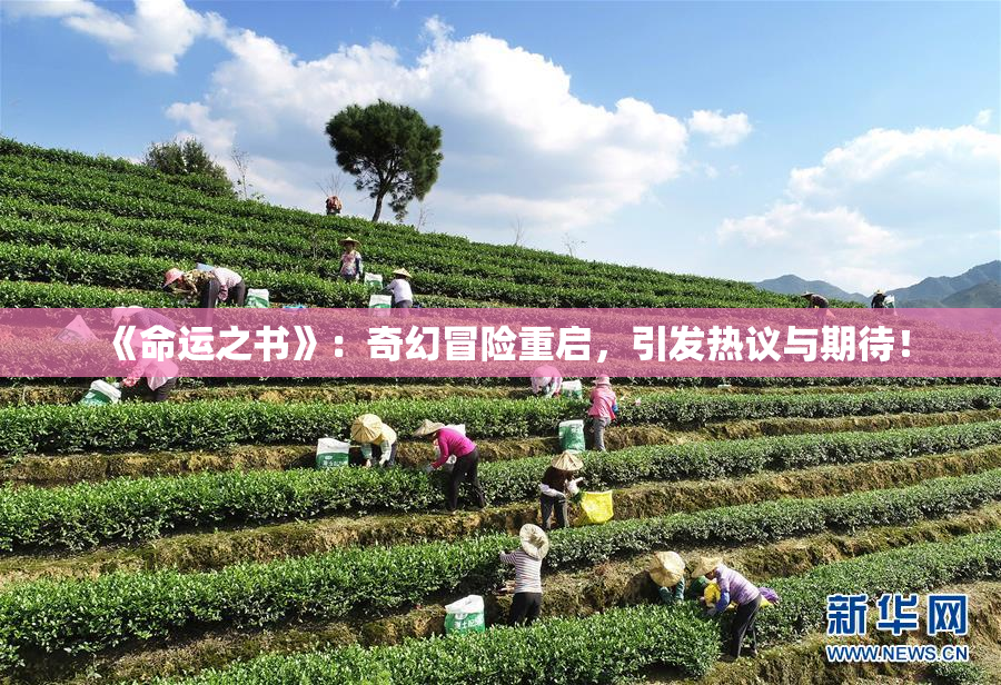 《命运之书》：奇幻冒险重启，引发热议与期待！
