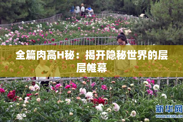 全篇肉高H秘：揭开隐秘世界的层层帷幕
