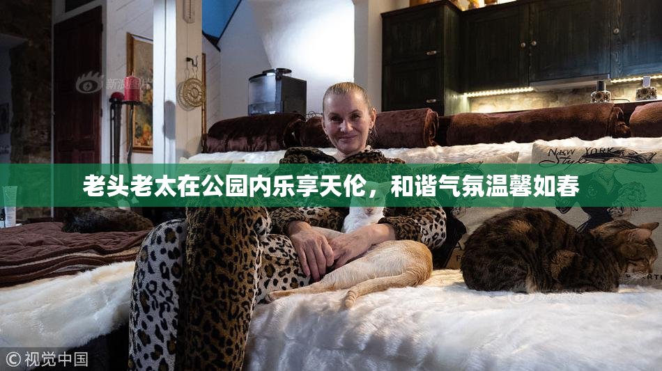 老头老太在公园内乐享天伦，和谐气氛温馨如春