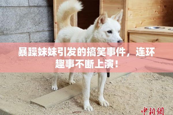 暴躁妹妹引发的搞笑事件，连环趣事不断上演！