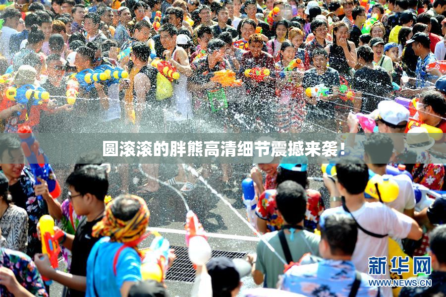 圆滚滚的胖熊高清细节震撼来袭！