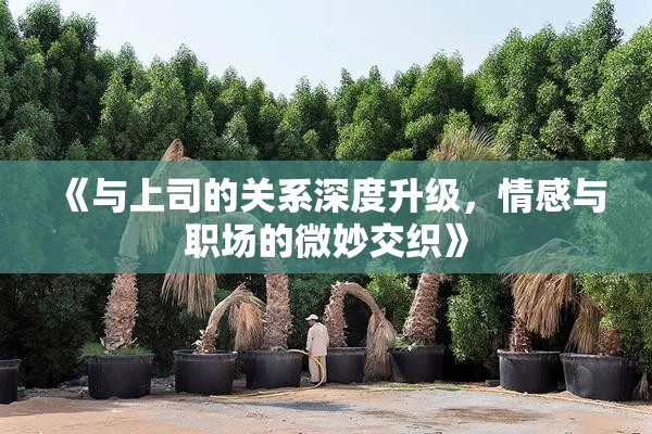 《与上司的关系深度升级，情感与职场的微妙交织》