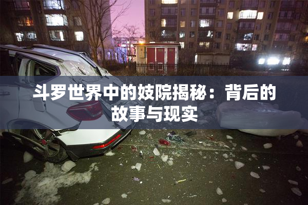 斗罗世界中的妓院揭秘：背后的故事与现实