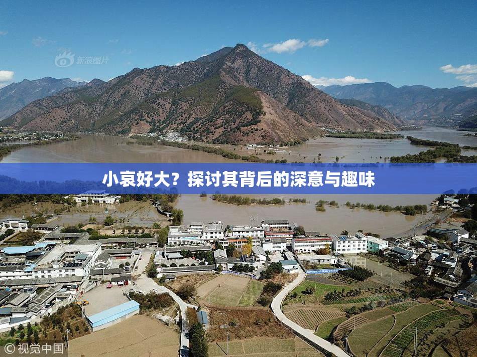 小哀好大？探讨其背后的深意与趣味