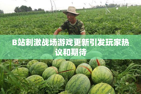 B站刺激战场游戏更新引发玩家热议和期待