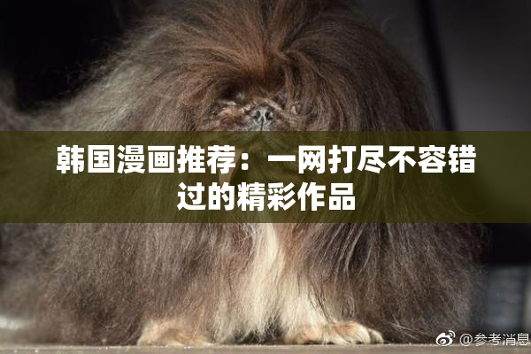 韩国漫画推荐：一网打尽不容错过的精彩作品
