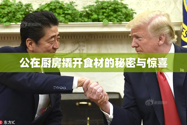 公在厨房撬开食材的秘密与惊喜