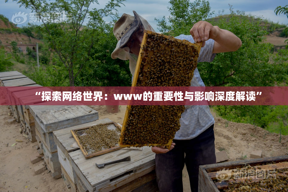 “探索网络世界：www的重要性与影响深度解读”
