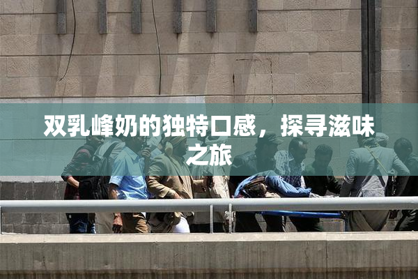 双乳峰奶的独特口感，探寻滋味之旅