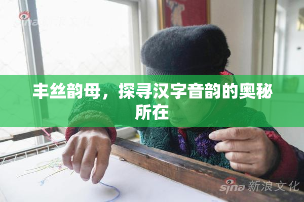 丰丝韵母，探寻汉字音韵的奥秘所在