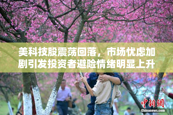 美科技股震荡回落，市场忧虑加剧引发投资者避险情绪明显上升