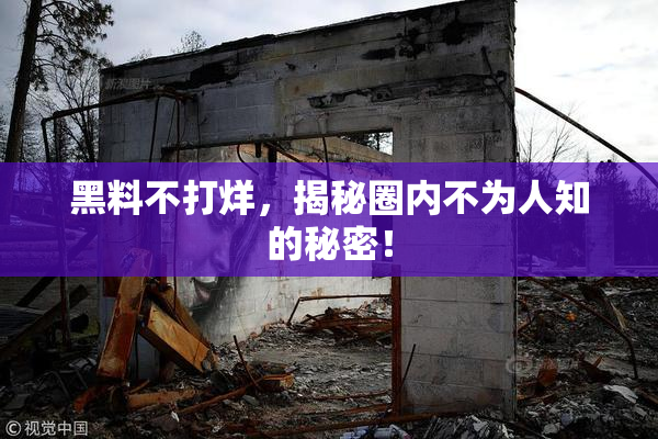 黑料不打烊，揭秘圈内不为人知的秘密！