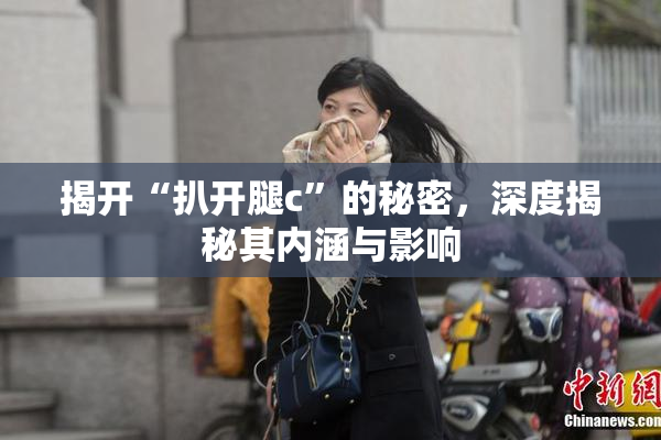 揭开“扒开腿c”的秘密，深度揭秘其内涵与影响