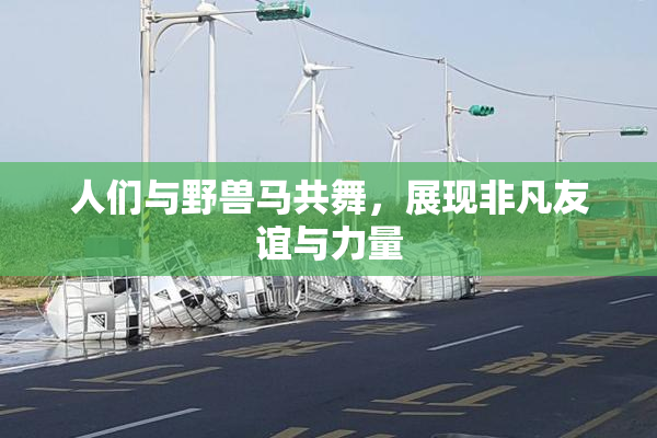 人们与野兽马共舞，展现非凡友谊与力量