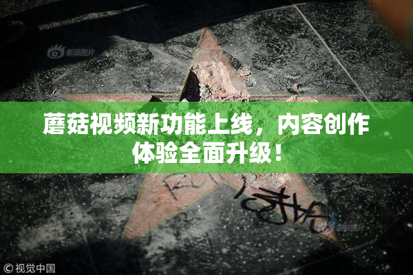 蘑菇视频新功能上线，内容创作体验全面升级！