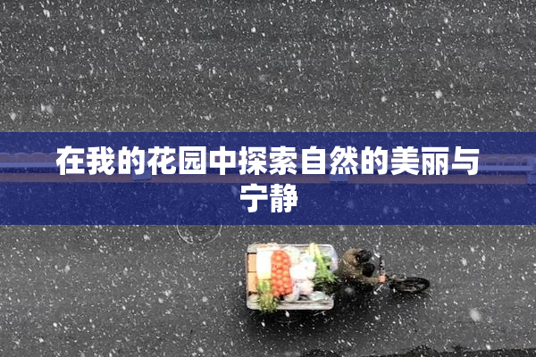在我的花园中探索自然的美丽与宁静