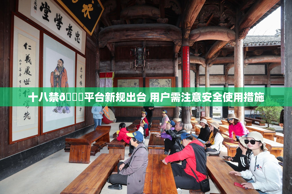 十八禁🔞平台新规出台 用户需注意安全使用措施