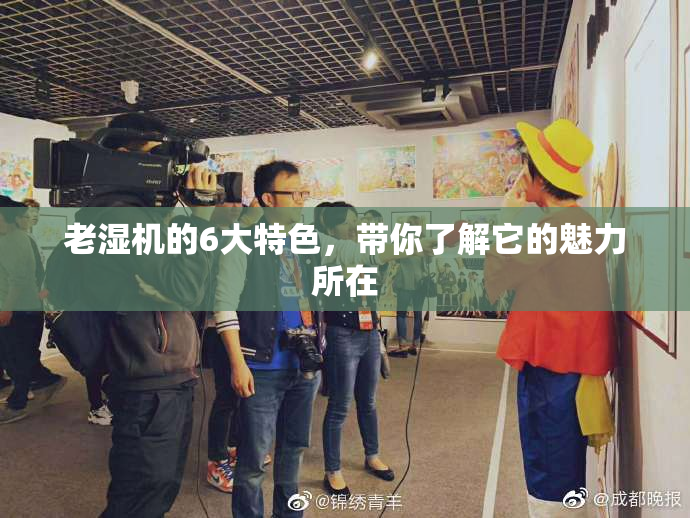 老湿机的6大特色，带你了解它的魅力所在