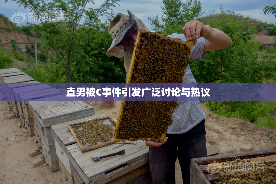直男被C事件引发广泛讨论与热议