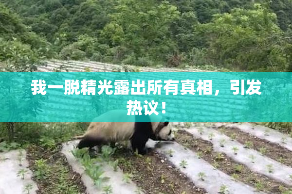 我一脱精光露出所有真相，引发热议！