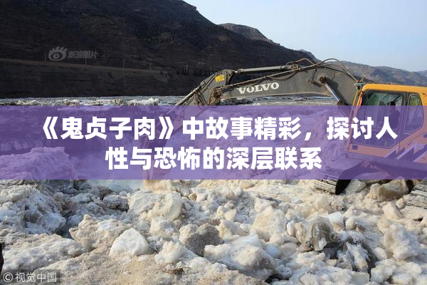 《鬼贞子肉》中故事精彩，探讨人性与恐怖的深层联系